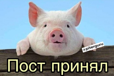 Свиной грипп пришел в Петербург